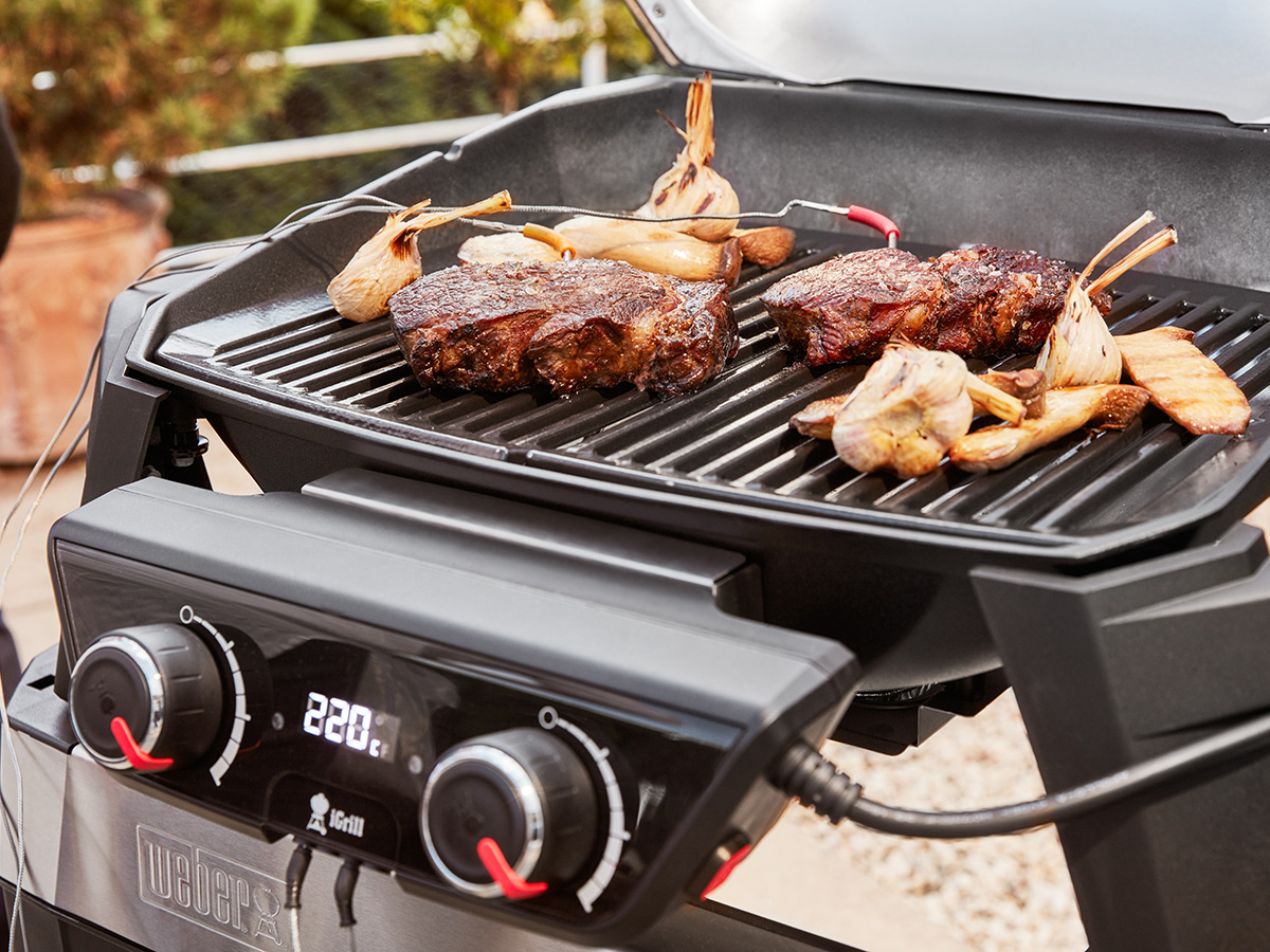 Weber Pulse 2000 Stand Elektrogrill